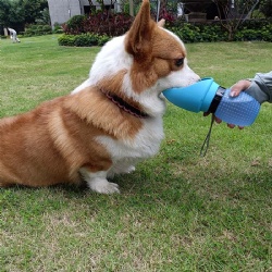 Pet Water Bottle