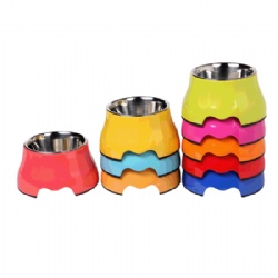 Elevated Dog Bowl Set